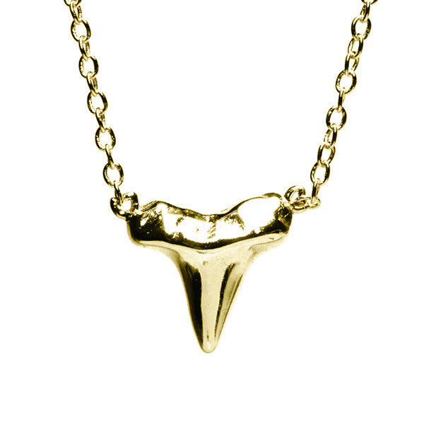 Gold-Dipped Mini Shark Tooth Necklace